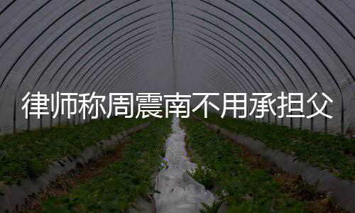 不用二代震南债务 周震南吗称周承担律师父母是富