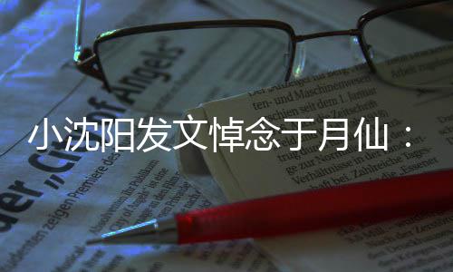 不念于小沈信，小姨敢相走好文悼阳发月仙一路