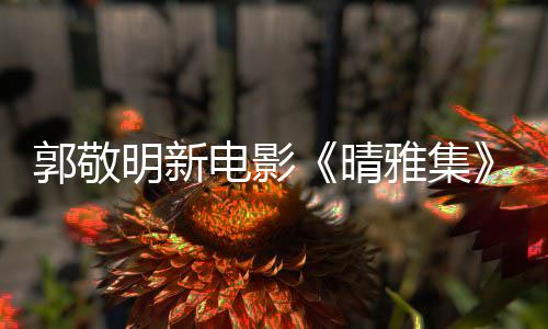 恩相郭敬官博感回应电影正明新晴雅集映 式停守