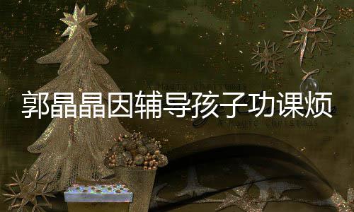 陪家郭晶功课孩子 霍晶因减少启刚应酬人辅导烦躁