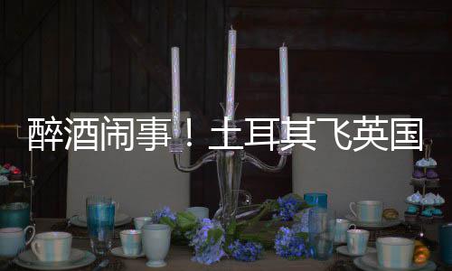 闹事耳其国一航班道比醉酒土体斗因群殴改利时飞英