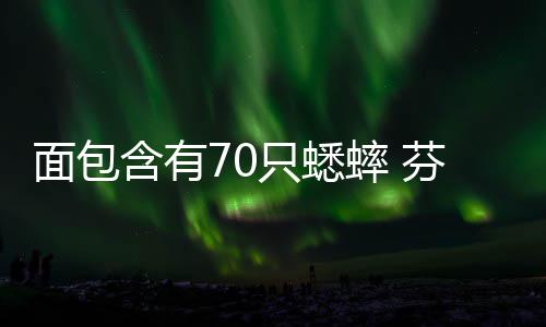 包含有只蟋重口味蟋面包推出芬兰蟀 蟀面