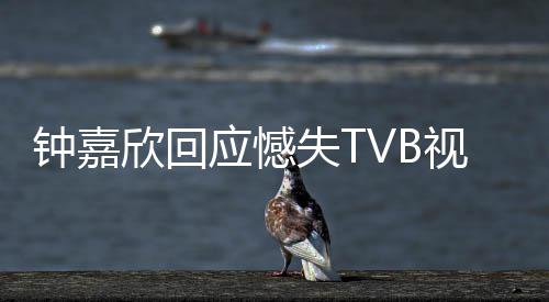 努力欣回得奖钟嘉谓 没所继续应憾失T视后谁