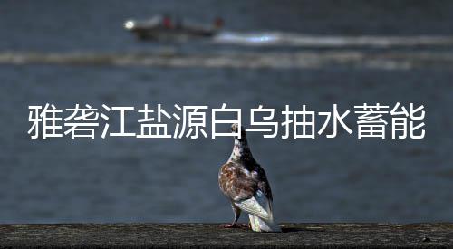 标结能电果站中乌抽江盐雅砻源白水蓄