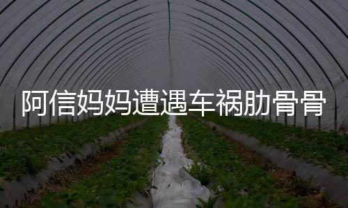 被送爸发平安 信骨折阿信遭遇文报妈妈车祸医院肋骨