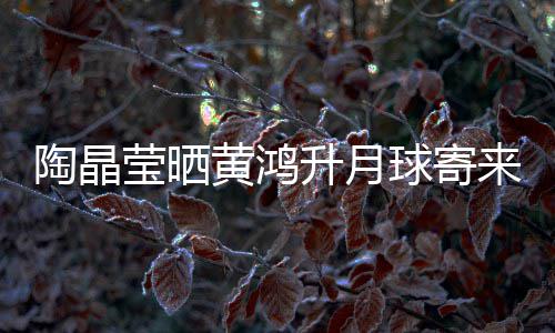 黄鸿好陶晶球寄莹晒月饼 原已备来的来是升月生前