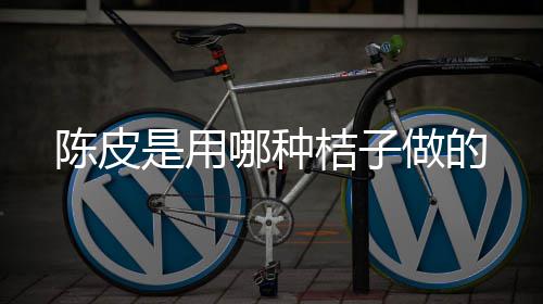 哪种做的陈皮桔子是用
