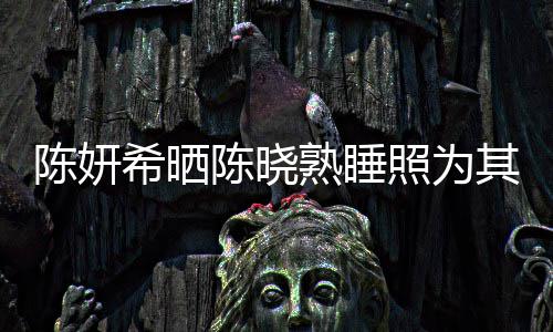 希晒爱意照为准时每年满满陈妍陈晓其庆发文熟睡生