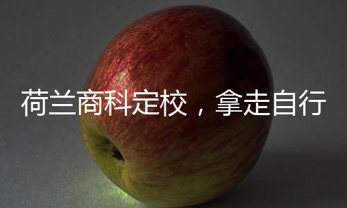 ，拿行对荷兰定校走自照商科