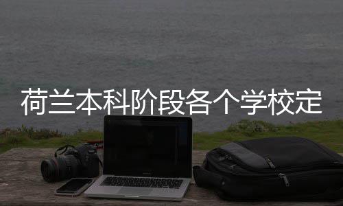 本科学校各个荷兰汇总定额招生阶段