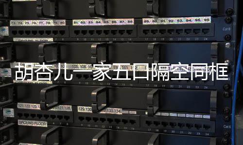 百日儿一儿子胡杏口隔空同框 为小家五庆祝