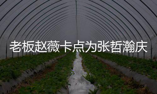 个人代表电视卡点赵薇哲瀚 张哲瀚资料作品为张剧庆生老板