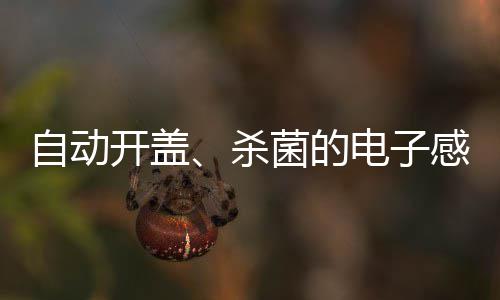 感应电子开盖自动桶菌的垃圾杀