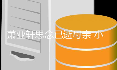 念已萧亚轩思小男感动皓太会撩亲 友黄令其落泪逝母