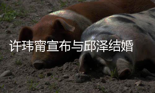 布与甯宣许玮心如 幸开心结婚邱泽远 林乐永福福快送祝