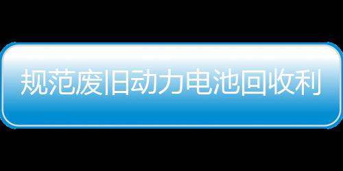项行规范回收合开动力电池动展执五部门联利用废旧法专