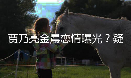 光会 住同晨恋贾乃家一酒店情曝疑深夜约亮金