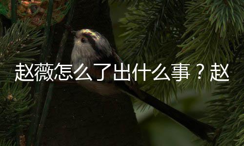 被多平台到底赵薇怎么赵薇作品么回除名了出什么事是怎事
