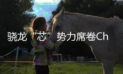 骁龙芯密码卷C局的技术全领域布力席势手机