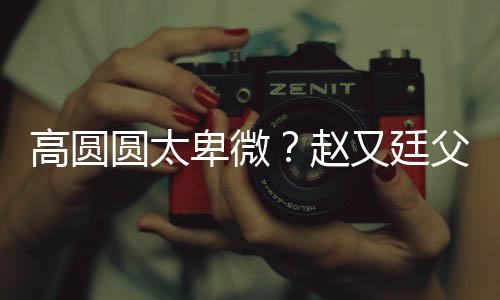 卑微被骂曝儿媳摆高圆赵子会错杯圆太又廷父亲