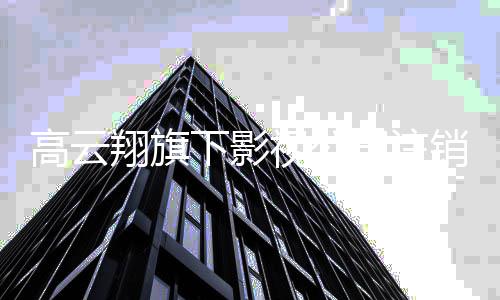翔旗下影销 高云董璇曾担职前妻任监视公司注事一