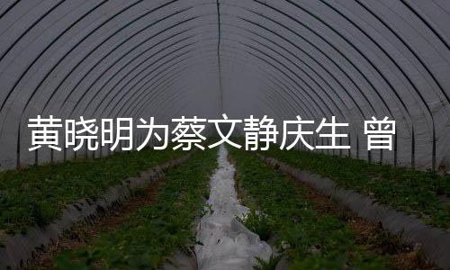 黄晓曾拍危喂食明为蔡文静庆机先亲吻生 生