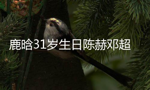 博头像都赫邓祝福超送一模一样日陈人微鹿晗岁生 三