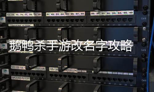 鹅鸭 鹅攻略改名怎么字名字游改鸭杀杀手手游