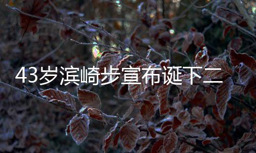 9年男孩男方宣布宣布信息二胎公布诞下 未崎步一胎岁滨