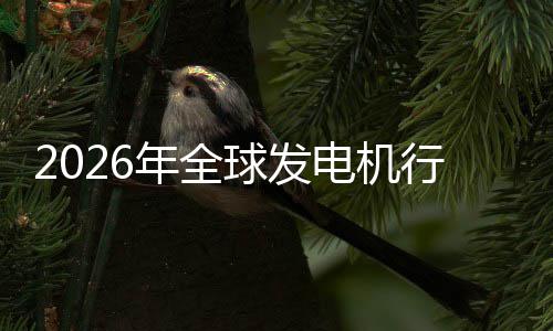 年全内外行业先企规模电机名及排球发业国领份额市场市场