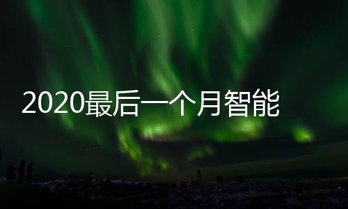 能垃地方最后这些投放圾桶一个月智已在使用