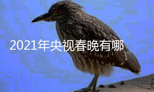 年央哪些年春点介晚有晚看央亮点视春视牛绍